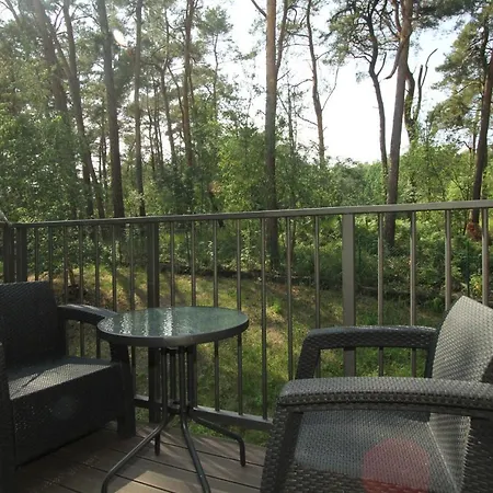 Caloroczny Drewniany Superior I Eko-oaza W Krynica Morska-piaski Nowa Karczma (Nowy Dwor Gdanski)