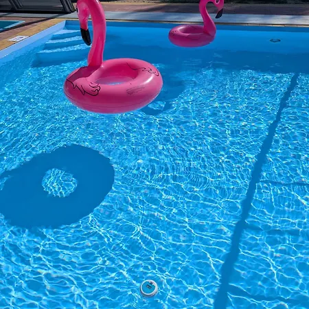 Kemp Caloroczny Drewniany Superior I Eko-oaza W Krynica Morska-piaski Nowa Karczma (Nowy Dwor Gdanski)