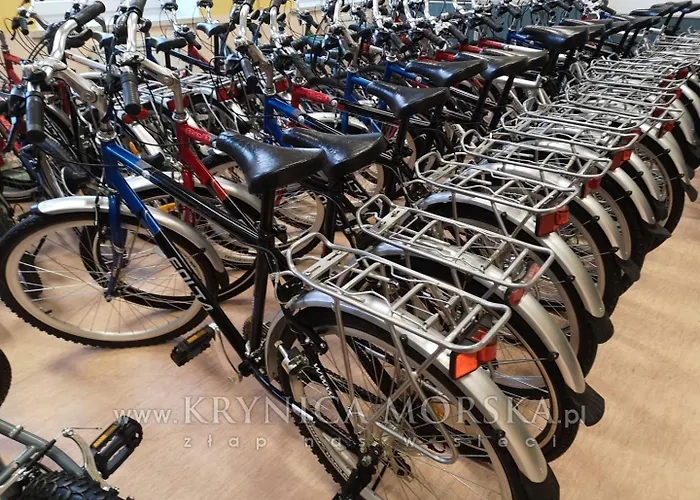 Caloroczny Drewniany Superior I Eko-oaza W Krynica Morska-piaski *